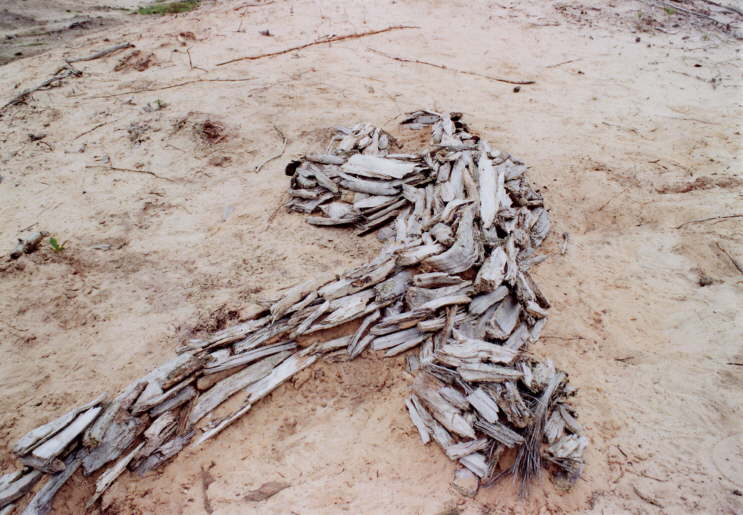 Foto2 001