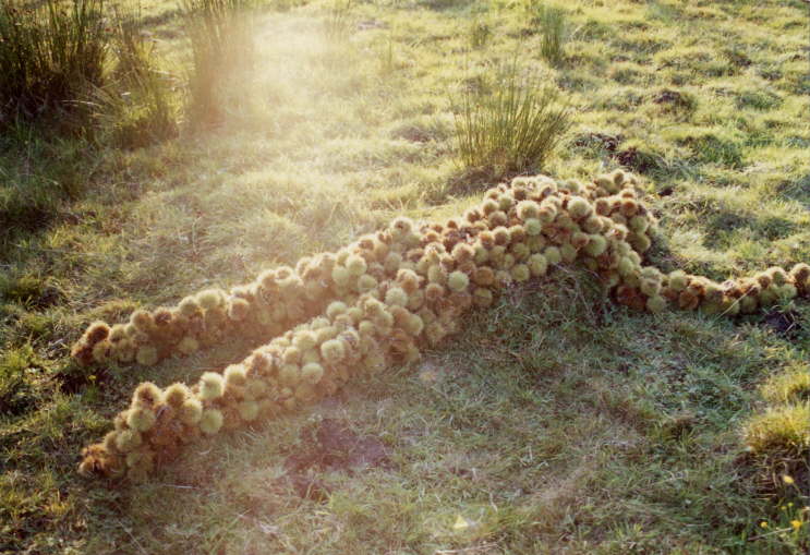 Foto2 003