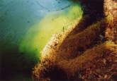 Foto2 005