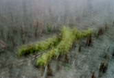 Foto2 006