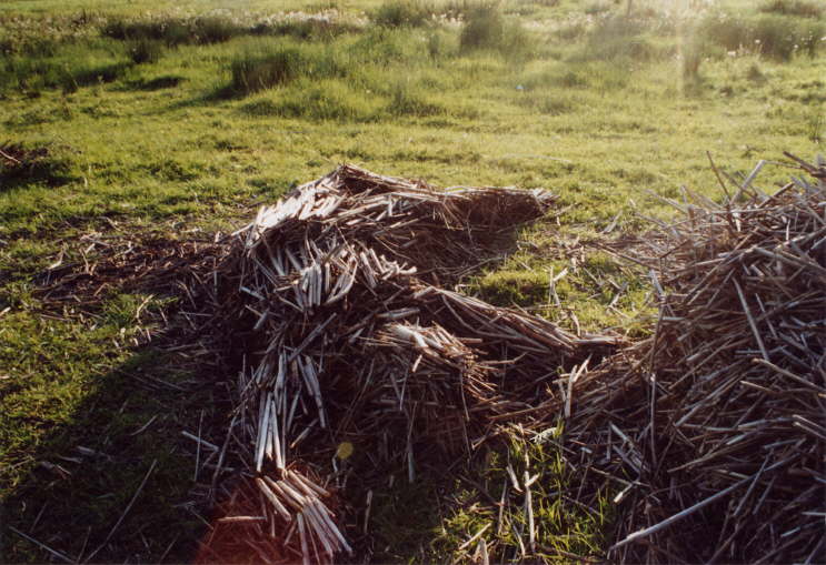 Foto2 011